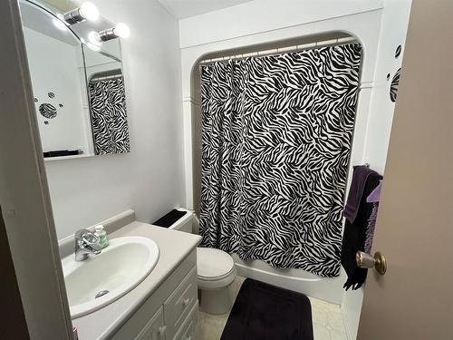 197 Bluewater Crescent, Winnipeg, MB - Indoor Photo Showing Bathroom