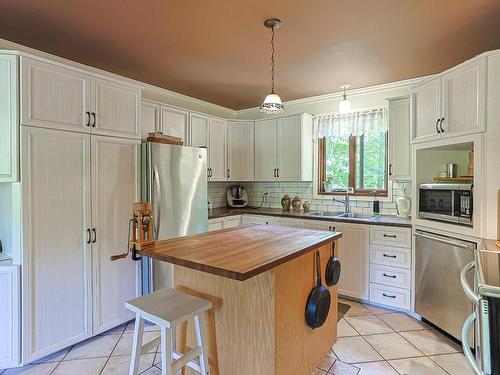 Kitchen - 60 Rue Lacombe, Notre-Dame-De-Lourdes, QC - Indoor Photo Showing Kitchen With Double Sink