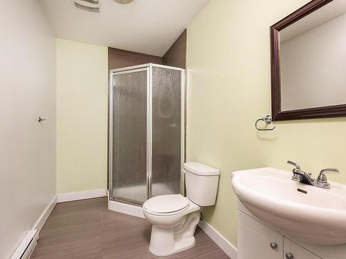 Bathroom - A-8 Rue Du Parc-Notre-Dame, Léry, QC - Indoor Photo Showing Bathroom