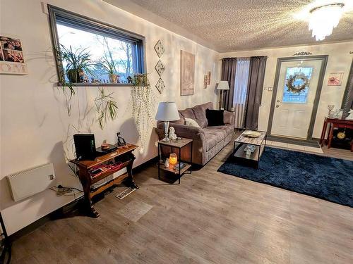 910 Alberta Street, Thunder Bay, ON - Indoor Photo Showing Living Room