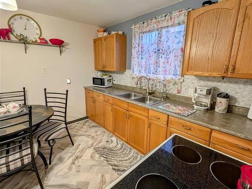 910 Alberta Street, Thunder Bay, ON - Indoor Photo Showing Kitchen With Double Sink