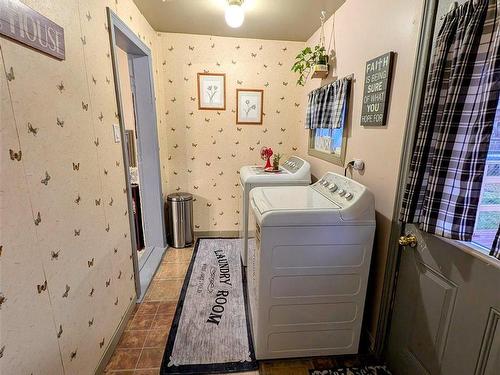 910 Alberta Street, Thunder Bay, ON - Indoor Photo Showing Laundry Room