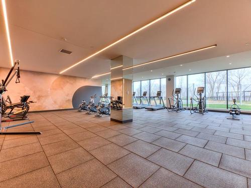 Exercise room - 1106-399 Rue De La Rotonde, Montréal (Verdun/Île-Des-Soeurs), QC - Indoor Photo Showing Gym Room