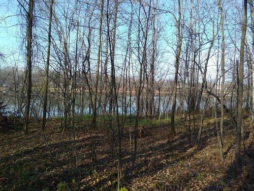 Land/Lot - 1874 Ch. Des Patriotes, Saint-Ours, QC 