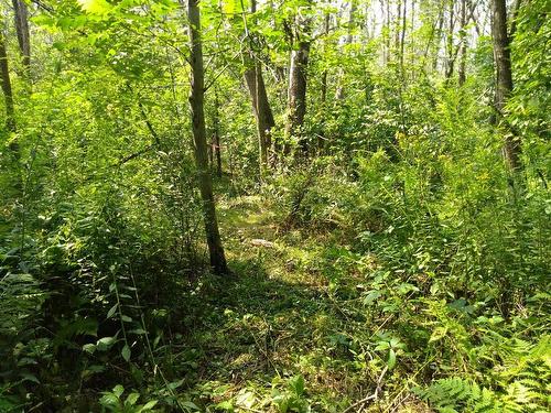 Land/Lot - 1874 Ch. Des Patriotes, Saint-Ours, QC 