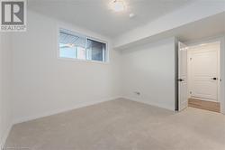 Basement featuring light colored carpet - 