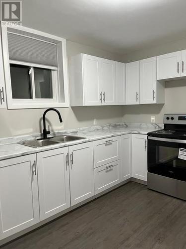 826 Lawson Street, Sudbury, ON - Indoor Photo Showing Kitchen With Double Sink