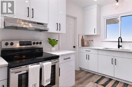 208 Robson Road, Leamington, ON - Indoor Photo Showing Kitchen With Upgraded Kitchen