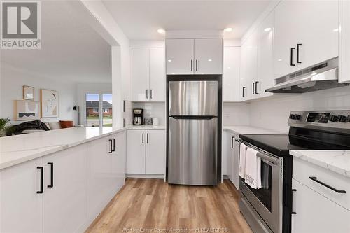 208 Robson Road, Leamington, ON - Indoor Photo Showing Kitchen With Upgraded Kitchen