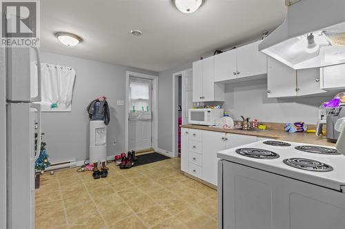 54 Great Eastern Avenue, St. John'S, NL - Indoor Photo Showing Kitchen