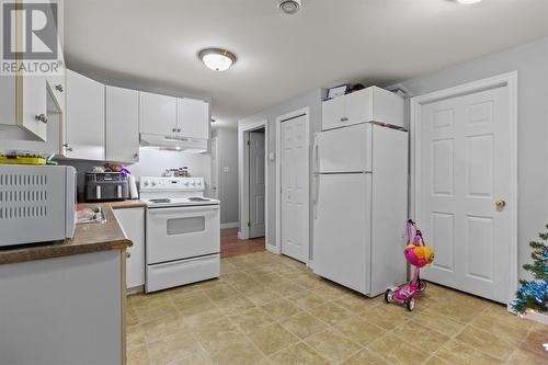 54 Great Eastern Avenue, St. John'S, NL - Indoor Photo Showing Kitchen