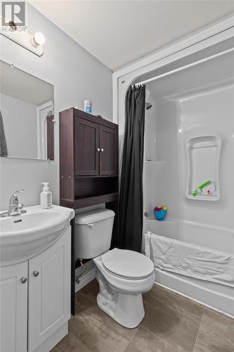 54 Great Eastern Avenue, St. John'S, NL - Indoor Photo Showing Bathroom