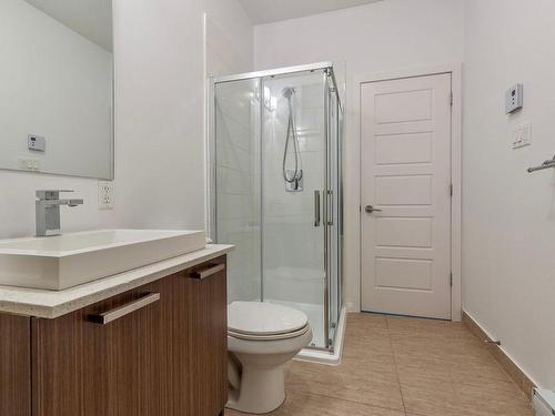 Salle de bains - 12025 Av. De Poutrincourt, Montréal (Ahuntsic-Cartierville), QC - Indoor Photo Showing Bathroom