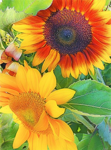 2974 Haslam Rd, Nanaimo, BC 