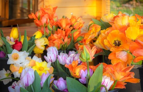 2974 Haslam Rd, Nanaimo, BC 