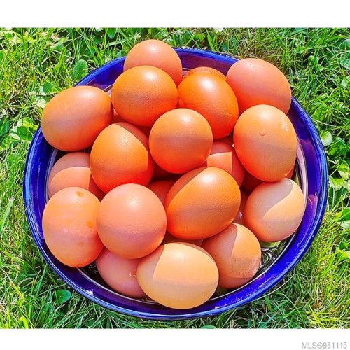 2974 Haslam Rd, Nanaimo, BC 