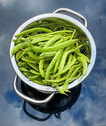 2974 Haslam Rd, Nanaimo, BC 