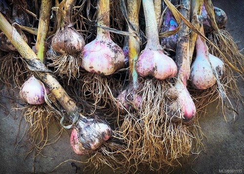 2974 Haslam Rd, Nanaimo, BC 