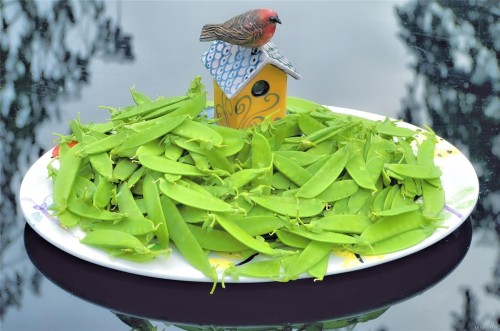 2974 Haslam Rd, Nanaimo, BC 