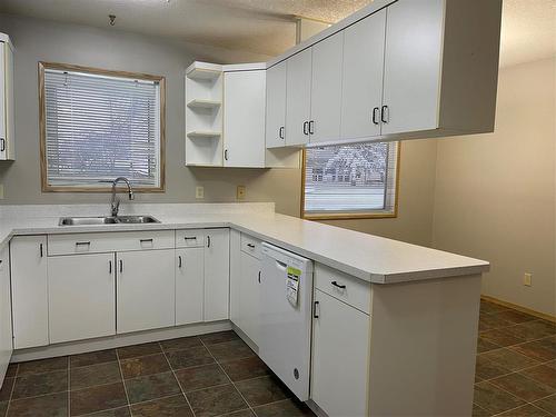 202 6Th Avenue S, Swan River, MB - Indoor Photo Showing Kitchen With Double Sink