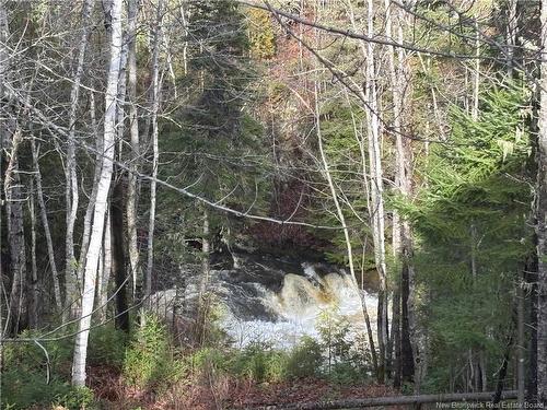 Camp Chemin Val-Michaud, Sormany, NB 