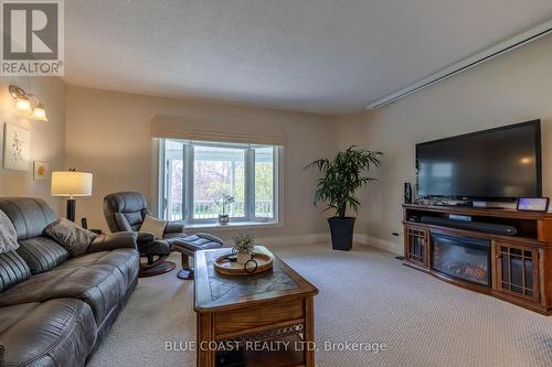 5848 Douglas Line, Plympton-Wyoming (Plympton Wyoming), ON - Indoor Photo Showing Living Room