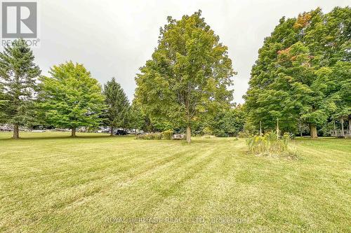 11450 Simcoe Street, Scugog, ON - Outdoor