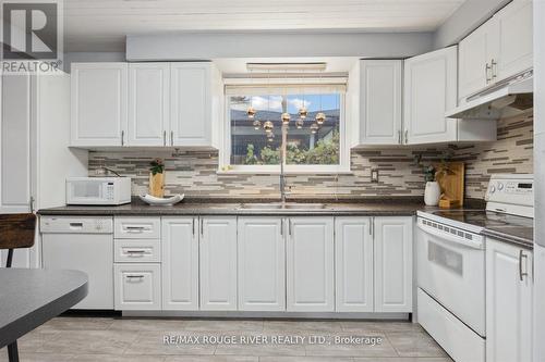 224 Arden Drive, Oshawa, ON - Indoor Photo Showing Kitchen With Double Sink