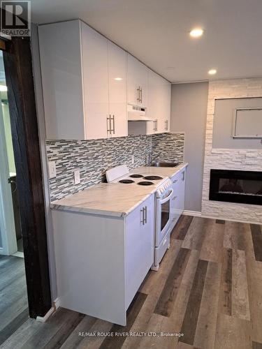 224 Arden Drive, Oshawa, ON - Indoor Photo Showing Kitchen With Fireplace With Double Sink