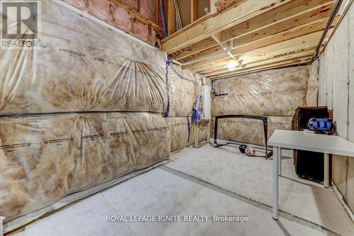 20 Icemaker Way, Whitby, ON - Indoor Photo Showing Basement