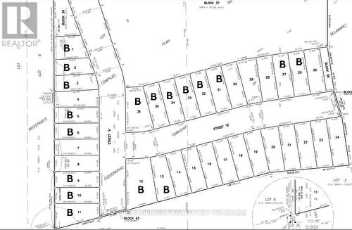 Bridlewood Lots - Lot 34 Virtue Drive, London, ON - Other