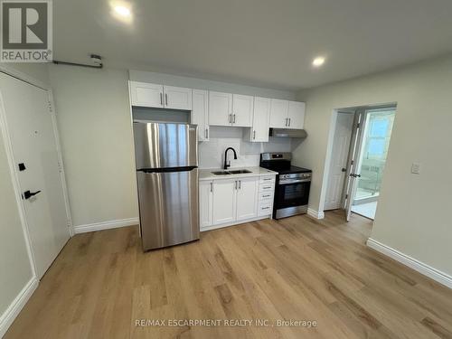 15 - 1759 King Street E, Hamilton, ON - Indoor Photo Showing Kitchen With Stainless Steel Kitchen With Double Sink