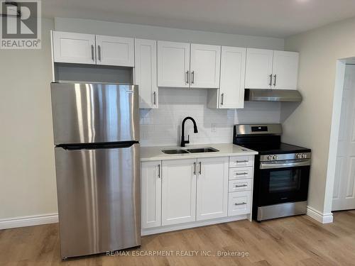 15 - 1759 King Street E, Hamilton, ON - Indoor Photo Showing Kitchen With Stainless Steel Kitchen With Double Sink