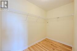 Walk in closet featuring wood-type flooring - 