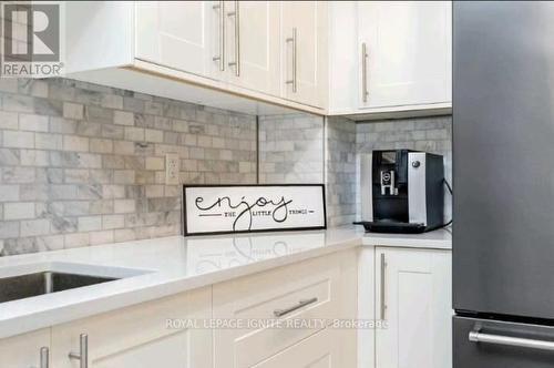 19 Mckinnon Avenue, Halton Hills, ON - Indoor Photo Showing Kitchen