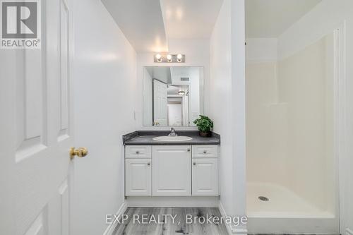 32 - 169 Bismark Drive, Cambridge, ON - Indoor Photo Showing Bathroom