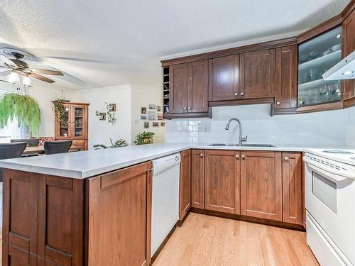 Kitchen - 102-535 Rue St-Thomas (Longueuil), Longueuil (Le Vieux-Longueuil), QC - Indoor Photo Showing Kitchen