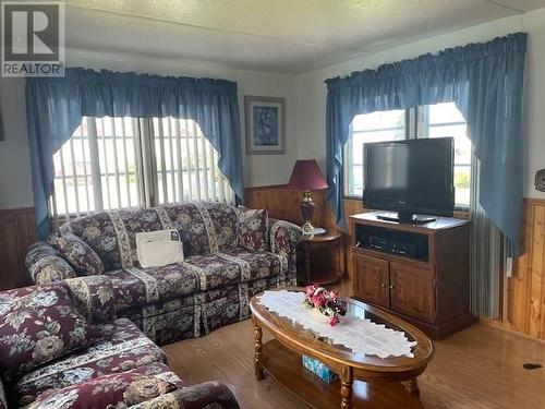 21 Park Avenue, Stephenville, NL - Indoor Photo Showing Living Room