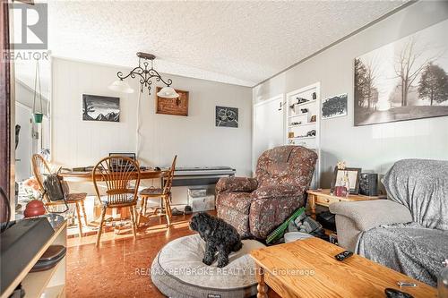 632 First Avenue, Laurentian Valley, ON - Indoor Photo Showing Living Room