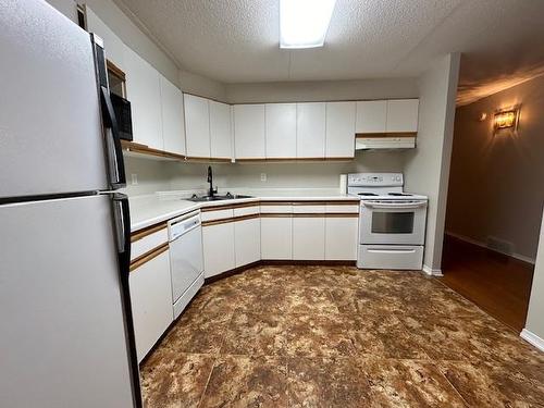 315 145 Fanshaw Street, Thunder Bay, ON - Indoor Photo Showing Kitchen With Double Sink