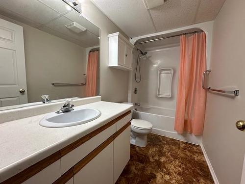 315 145 Fanshaw Street, Thunder Bay, ON - Indoor Photo Showing Bathroom