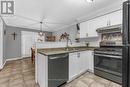 22 Brookheath Lane, Hamilton, ON  - Indoor Photo Showing Kitchen With Double Sink 