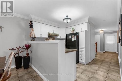 22 Brookheath Lane, Hamilton, ON - Indoor Photo Showing Kitchen