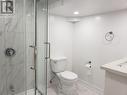 Lower - 50 Birchmount Road, Toronto, ON  - Indoor Photo Showing Bathroom 