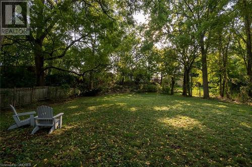 abundance of backyard space - 49 James Street, Milton, ON - Outdoor