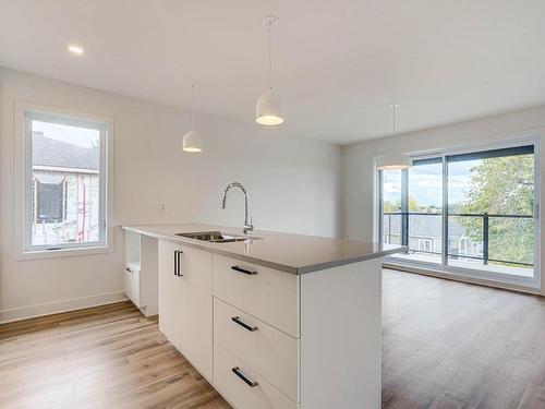 Overall view - 1-2202 Boul. Du Bord-De-L'Eau, Salaberry-De-Valleyfield, QC - Indoor Photo Showing Kitchen With Double Sink