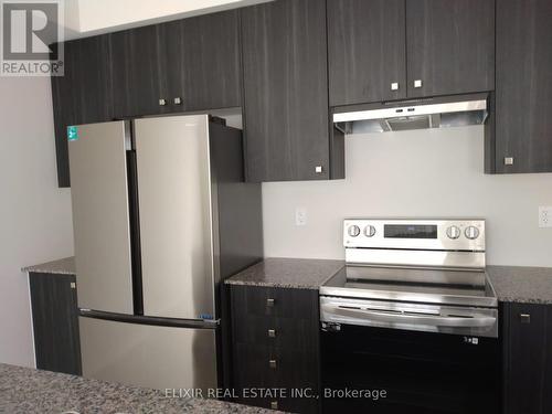 195 Spitfire Drive, Hamilton, ON - Indoor Photo Showing Kitchen