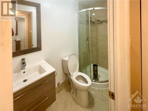 458 Nelson Street, Lower Town - Sandy Hill (4004 - Sandy Hill), ON - Indoor Photo Showing Bathroom