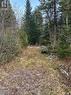 0 Madawaska Road, Hastings Highlands, ON 