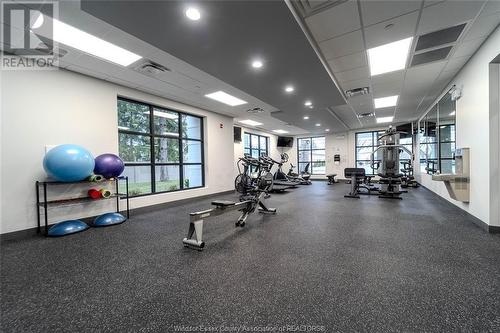 3817 Howard Unit# 102, Windsor, ON - Indoor Photo Showing Gym Room